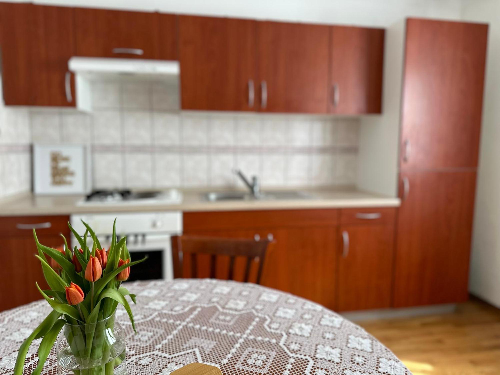 Sunny Hill Apartment Ilirska Bistrica Extérieur photo