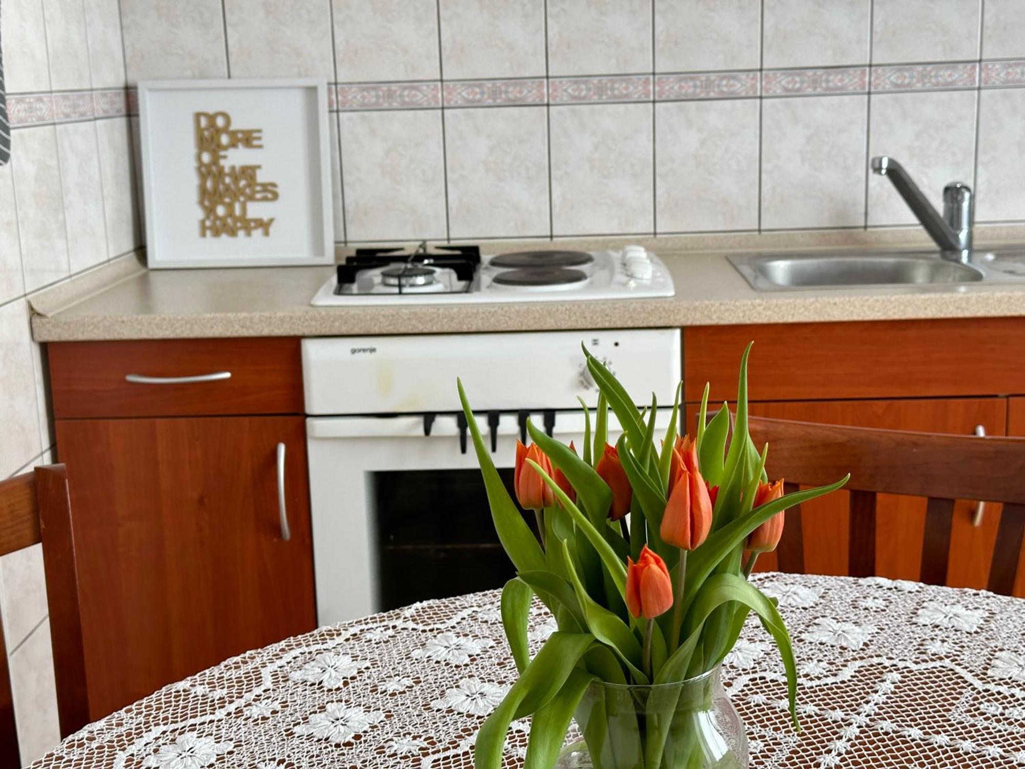 Sunny Hill Apartment Ilirska Bistrica Extérieur photo