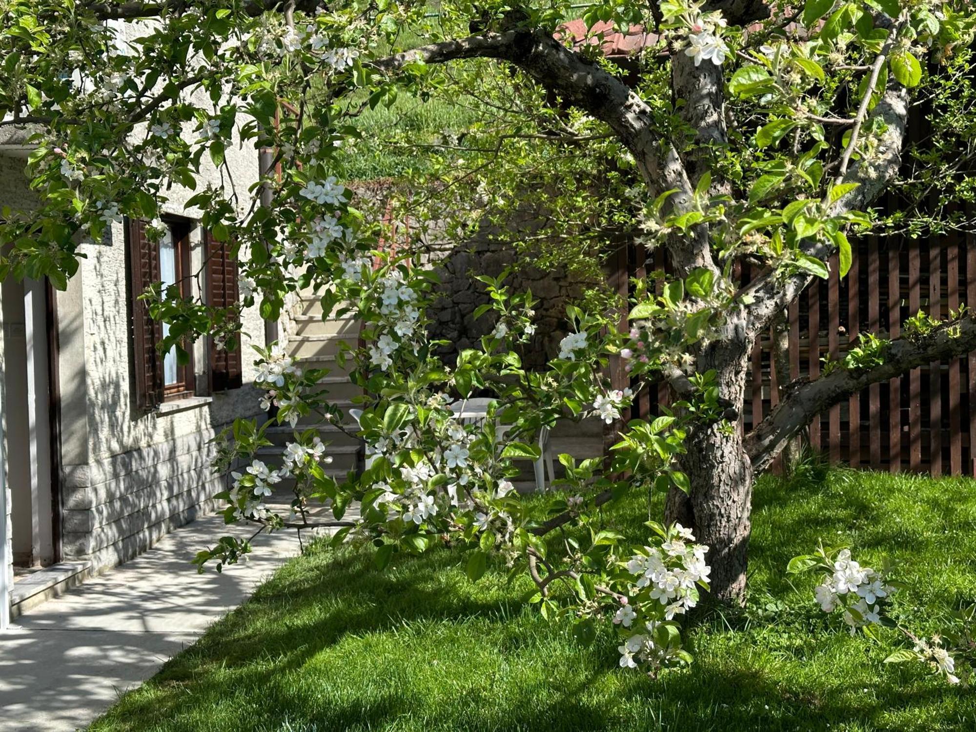 Sunny Hill Apartment Ilirska Bistrica Extérieur photo